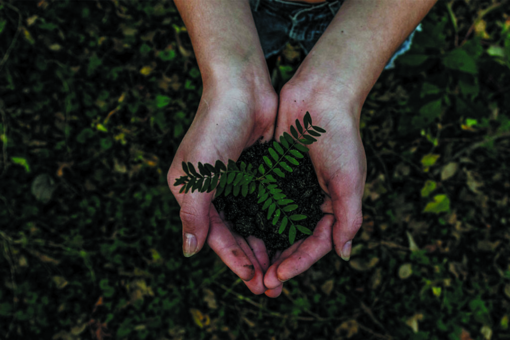 Environmental-testing-services-kentucky