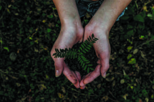 environmental-blog-img1 - ETC of Kentucky Environmental-testing-services-kentucky