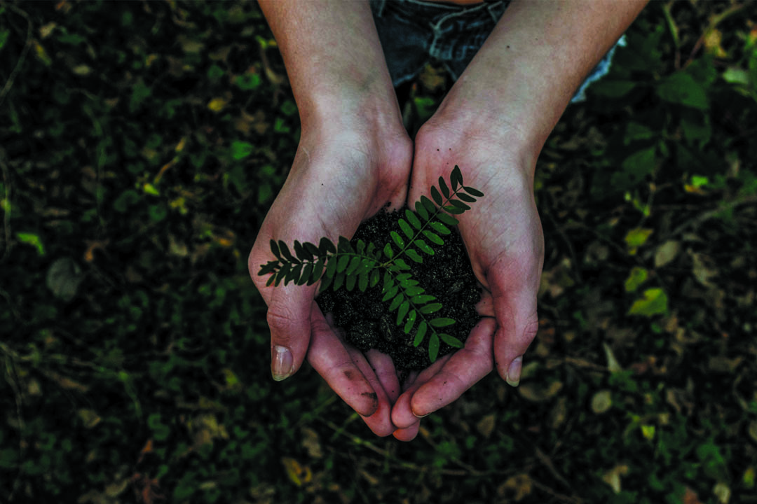 Environmental-testing-services-kentucky